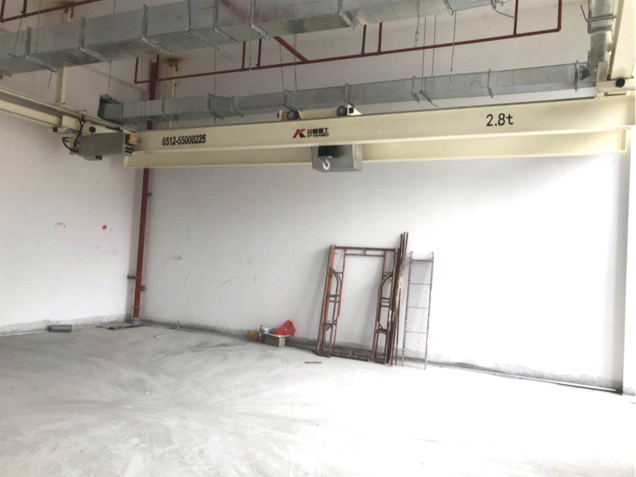Clean Room Underhung Crane for Semiconductor Workshop