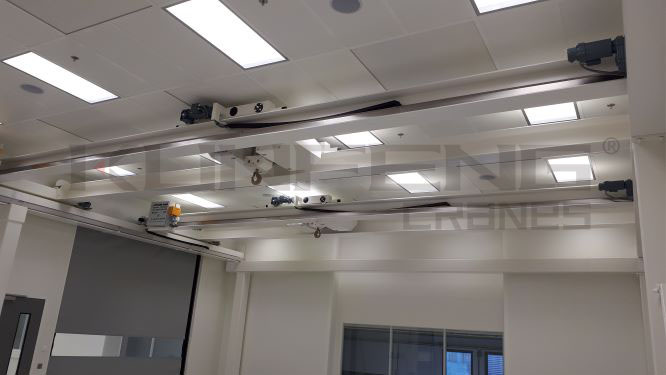 Non-standard customization of clean room cranes Non-standard customization of clean room cranes