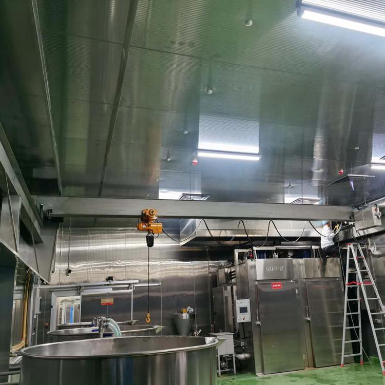 Stainless steel crane for food factory