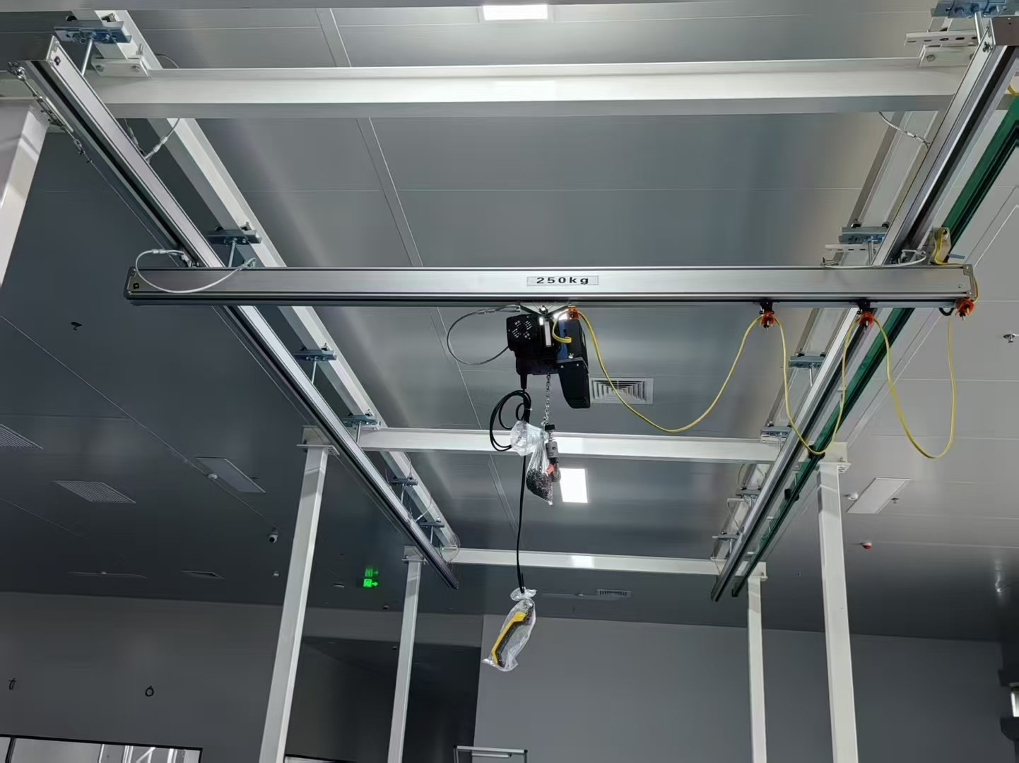 Light suspension bridge crane